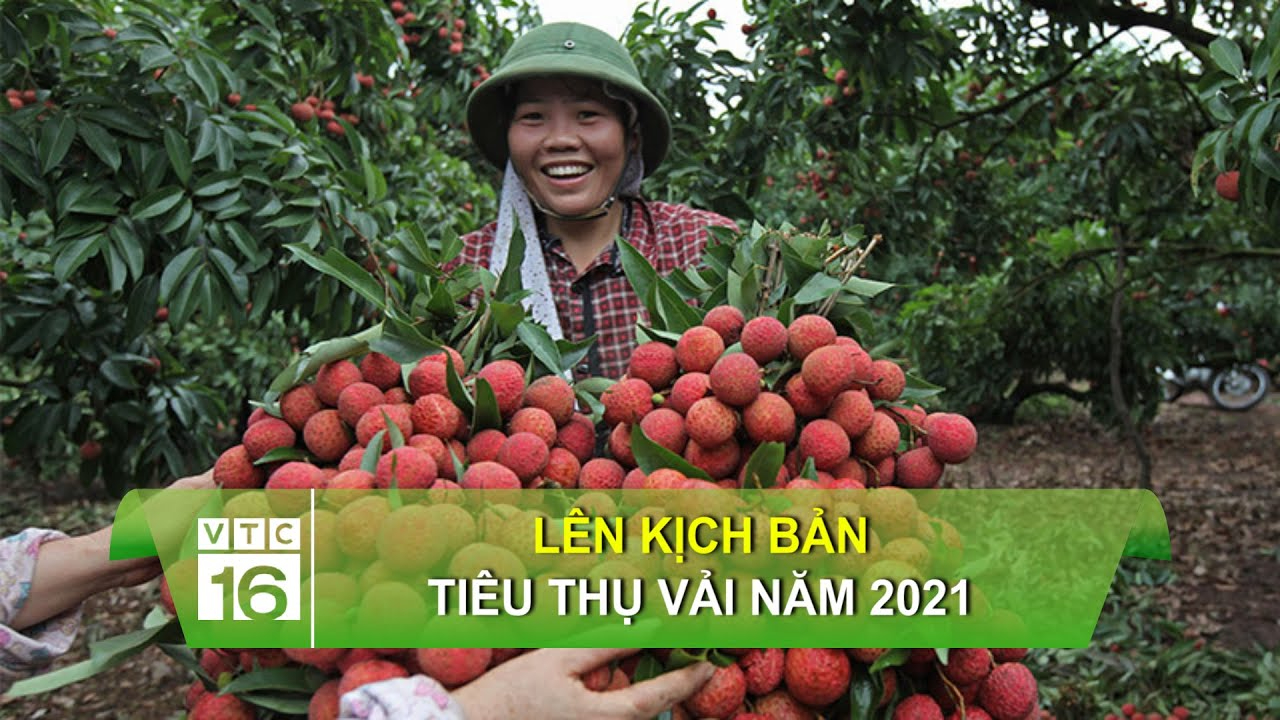 Tiền đạo Brazil lập công, áp sát vị trí số 1 của Tiến Linh_kỹ năng sáng tạo nội dung