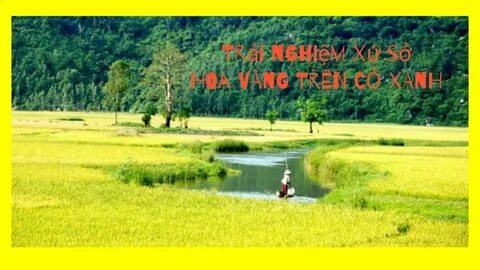Sự Bùng Nổ Của Video Ngắn và Trí Tuệ Nhân Tạo: Vai Trò Thiết Yếu Của Đào Tạo Kỹ Năng Sáng Tạo Nội Dung_Đào tạo kỹ năng edit video chuyên sâu