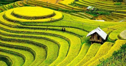 Mẹ đơn thân ở Vĩnh Yên và hành trình tìm lại chính mình cùng Hotspot Matrix_Tuyển dụng Ma trận điểm truy cập
